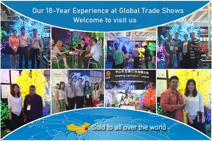 company participation in the exhibition International outdoor lighting trade exhibition