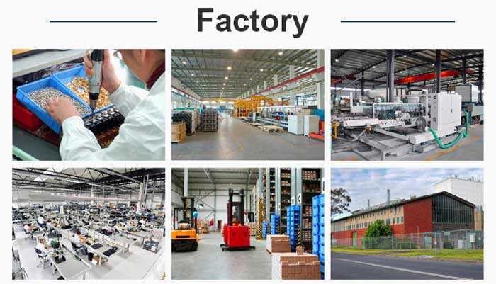 Professional LED decorative light manufacturing factory