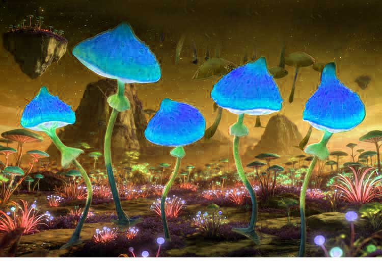 Customizable LED Mushroom Lights | Large Outdoor Glow Decor for Garden & Christmas 2 Customizable LED Mushroom Lights | Large Outdoor Glow Decor for Garden & Christmas - 图片 2