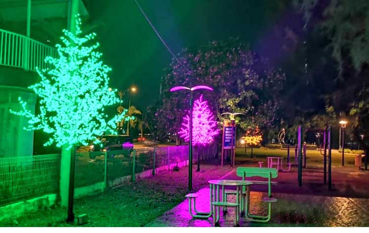Outdoor Led Light Tree For Patio & Contractor Lighting Projects: LED Cherry Blossom Tree Solutions 3 Outdoor Led Light Tree For Patio & Contractor Lighting Projects: LED Cherry Blossom Tree Solutions - 图片 3