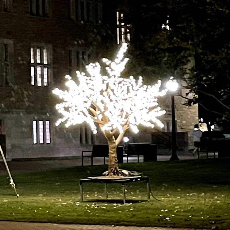 Custom Light Up Tree Lights: Outdoor Garden Landscape & Festive Lighting Decoration 5 Custom Light Up Tree Lights: Outdoor Garden Landscape & Festive Lighting Decoration - 图片 5