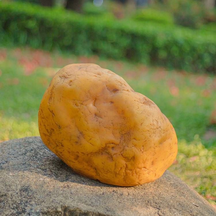 Solar Egg Sone Light: Perfect for Rock City Enchanted Garden of Lights & Round Rock Christmas Displays 6 Solar Egg Sone Light: Perfect for Rock City Enchanted Garden of Lights & Round Rock Christmas Displays - 图片 6