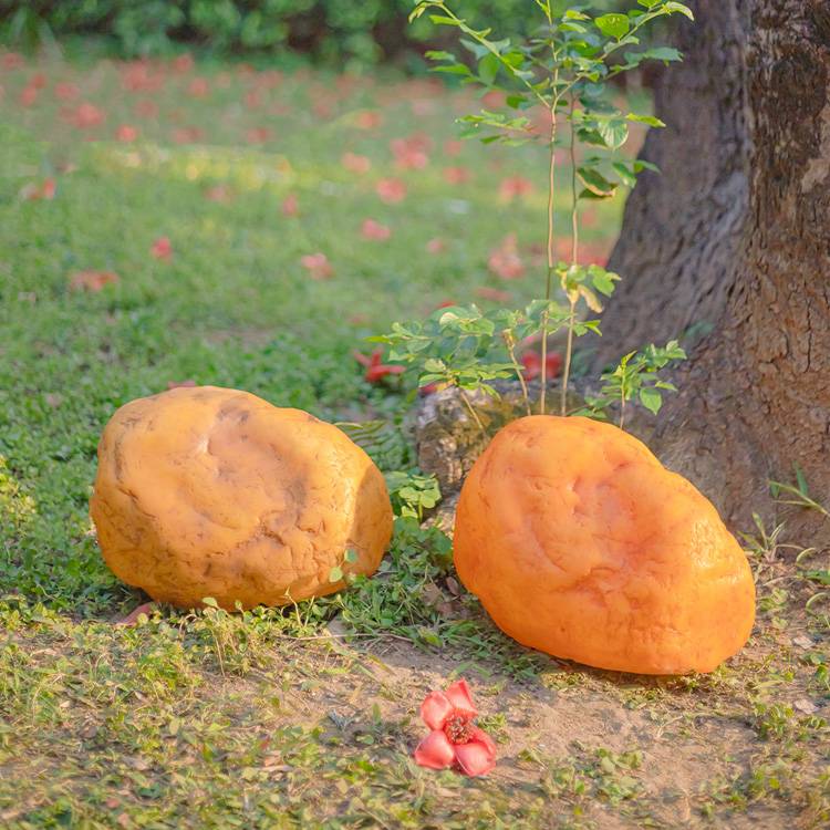 Solar Egg Sone Light: Perfect for Rock City Enchanted Garden of Lights & Round Rock Christmas Displays 7 Solar Egg Sone Light: Perfect for Rock City Enchanted Garden of Lights & Round Rock Christmas Displays - 图片 7