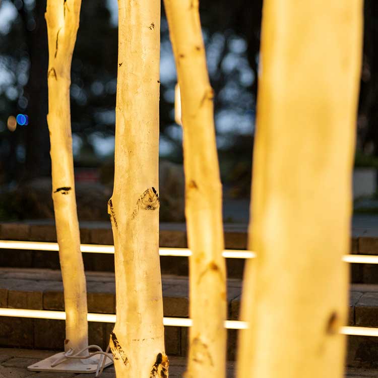 Lighted LED Birch Tree - Indoor/Outdoor Waterproof Decor With Warm LED Lights 2 Lighted LED Birch Tree - Indoor/Outdoor Waterproof Decor With Warm LED Lights - 图片 2
