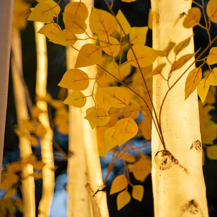 Lighted Birch Trees - Waterproof White Birch Tree with LED Lights for Indoor Outdoor Decor 4 Lighted Birch Trees - Waterproof White Birch Tree with LED Lights for Indoor Outdoor Decor - 图片 4