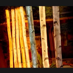 Lighted Birch Trees - Waterproof White Birch Tree with LED Lights for Indoor Outdoor Decor