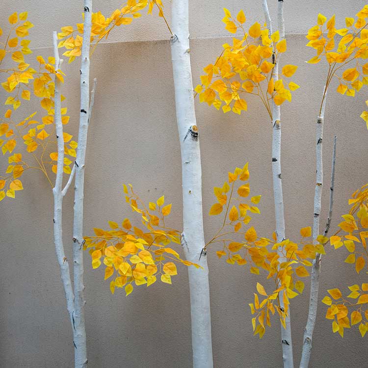 Lighted Birch Trees - Waterproof White Birch Tree with LED Lights for Indoor Outdoor Decor 5 Lighted Birch Trees - Waterproof White Birch Tree with LED Lights for Indoor Outdoor Decor - 图片 5