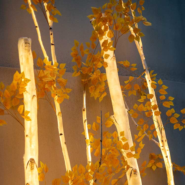 Lighted LED Birch Tree - Indoor/Outdoor Waterproof Decor With Warm LED Lights 5 Lighted LED Birch Tree - Indoor/Outdoor Waterproof Decor With Warm LED Lights - 图片 5