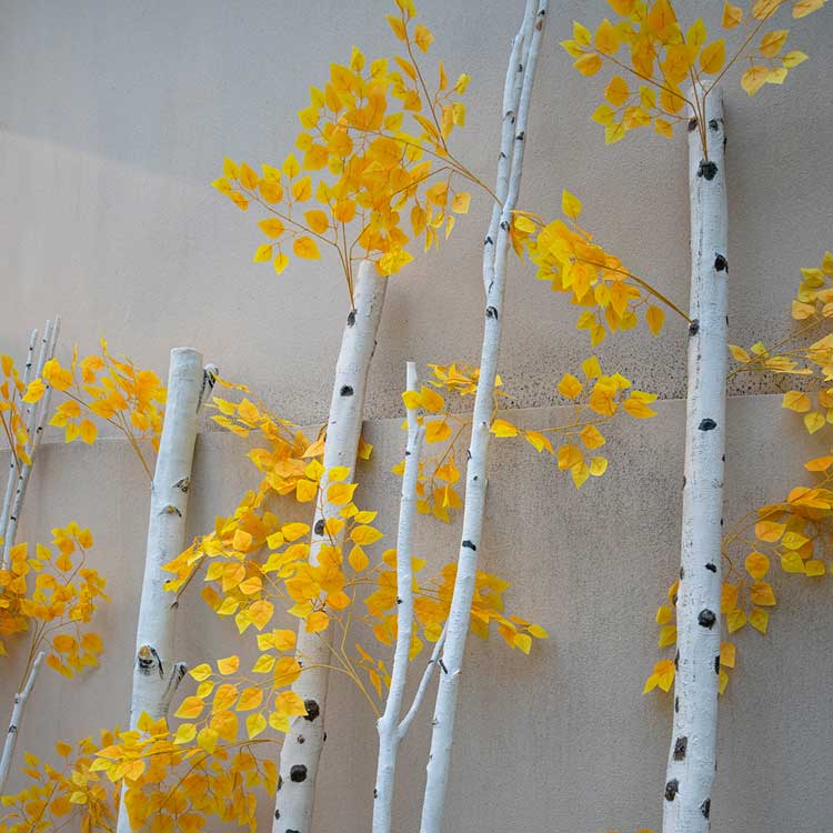 Lighted LED Birch Tree - Indoor/Outdoor Waterproof Decor With Warm LED Lights 6 Lighted LED Birch Tree - Indoor/Outdoor Waterproof Decor With Warm LED Lights - 图片 6