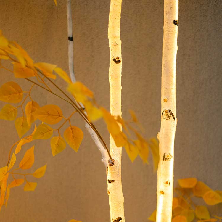 Lighted Birch Trees - Waterproof White Birch Tree with LED Lights for Indoor Outdoor Decor 6 Lighted Birch Trees - Waterproof White Birch Tree with LED Lights for Indoor Outdoor Decor - 图片 6