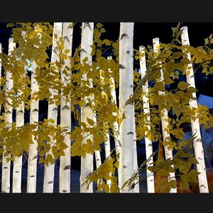 LED birch tree with lights