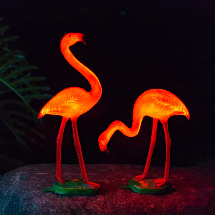 LED Glowing Paradise Flamingo Decor Lights: Outdoor & Indoor Garden Landscape Ornament 4 led glowing flamingo decor lights: outdoor & indoor garden landscape ornament