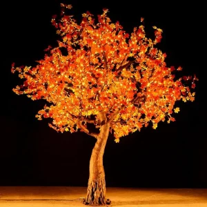 red maple tree