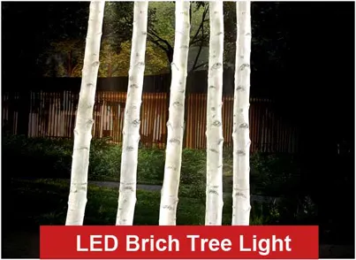 Home 6 white birchtree